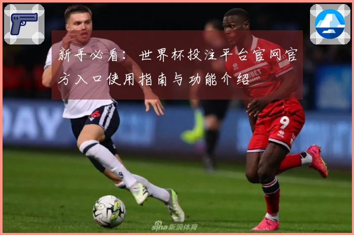 新手必看：世界杯投注平台官网官方入口使用指南与功能介绍