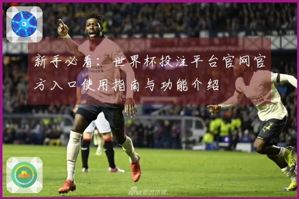 新手必看：世界杯投注平台官网官方入口使用指南与功能介绍