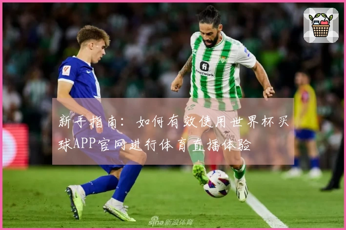 新手指南：如何有效使用世界杯买球APP官网进行体育直播体验