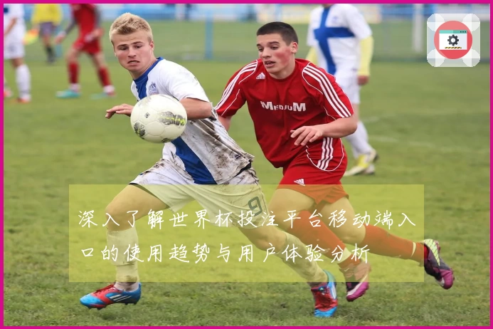 深入了解世界杯投注平台移动端入口的使用趋势与用户体验分析