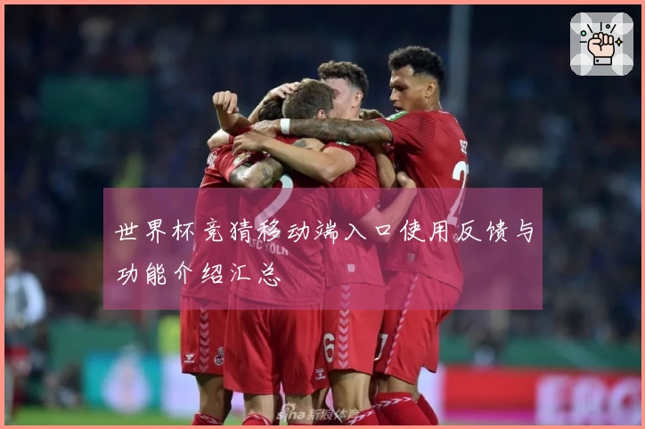 世界杯竞猜移动端入口使用反馈与功能介绍汇总