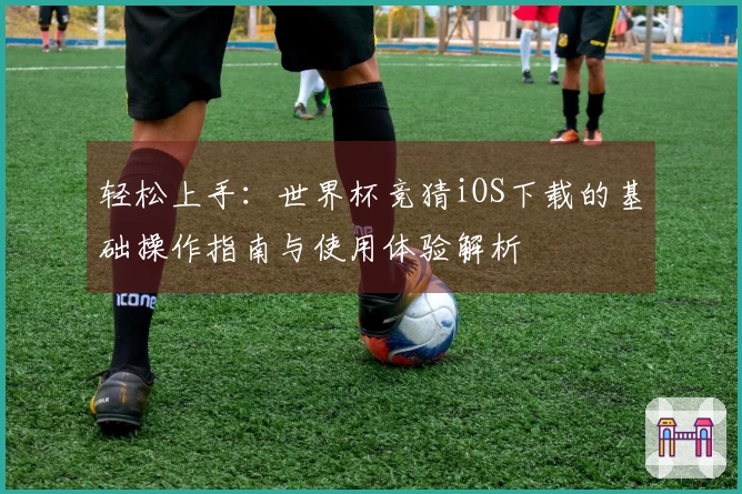 轻松上手：世界杯竞猜iOS下载的基础操作指南与使用体验解析